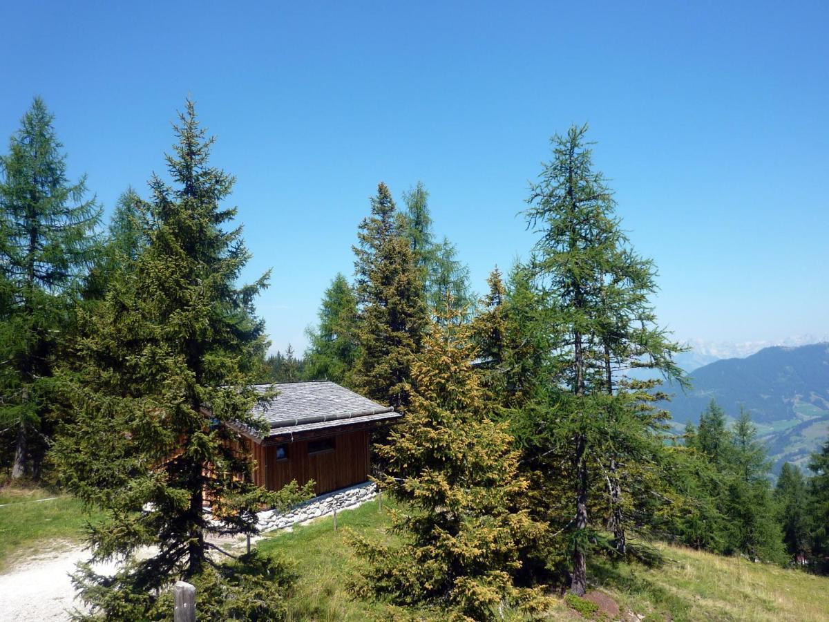 Haus Daniel Schartner Kleinarl Exterior foto